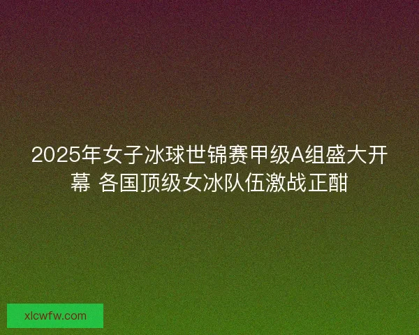 2025年女子冰球世锦赛甲级A组盛大开幕 各国顶级女冰队伍激战正酣